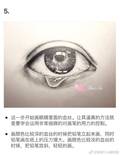 【超详细教程】
教你如何用一支笔 征服一只眼睛
#手绘插画教程#（作者：@跟着Tina画美国 ） ​