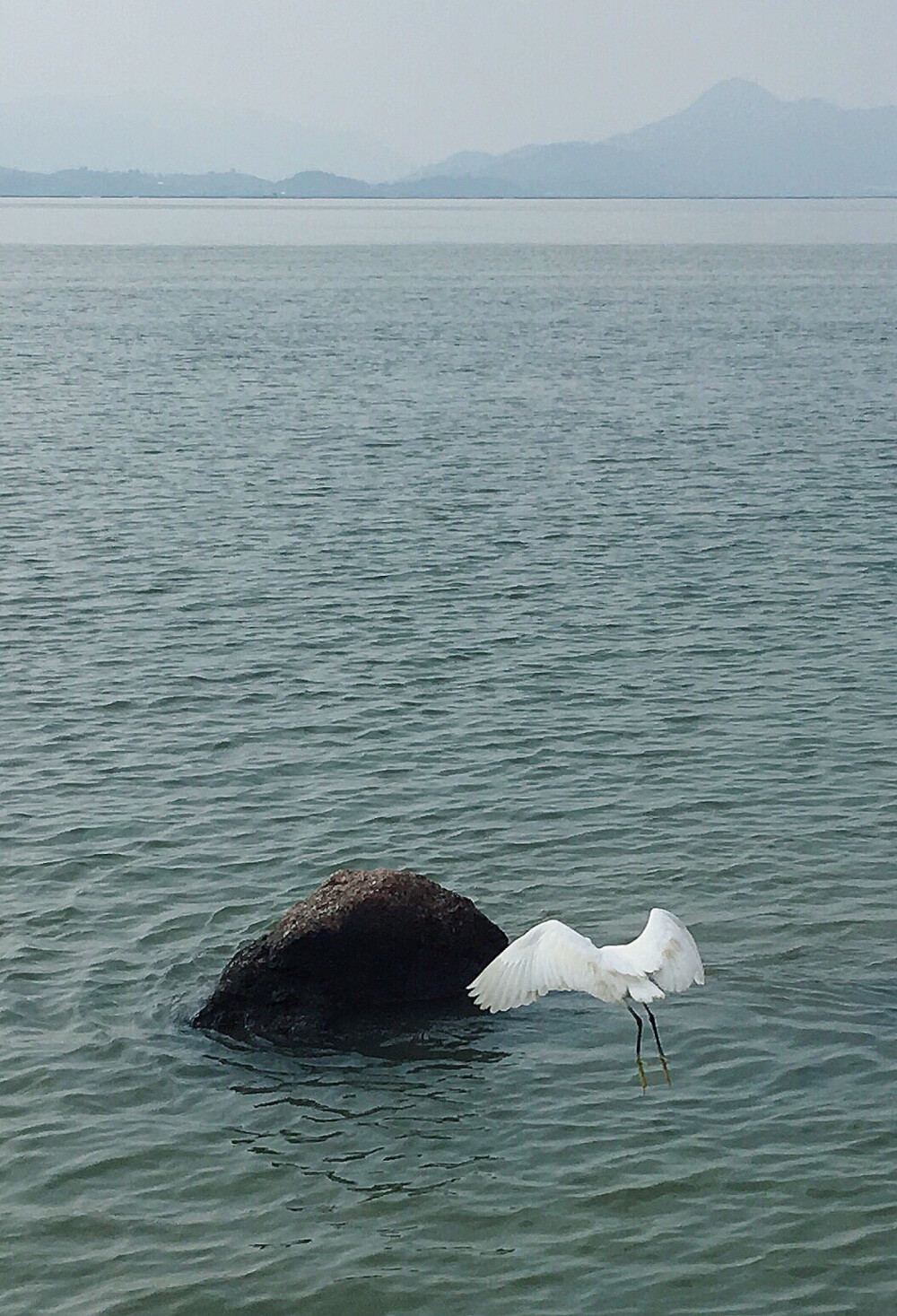 深圳湾公园