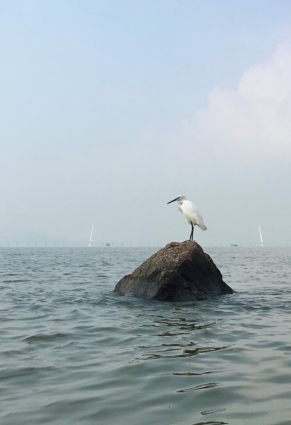 深圳湾公园