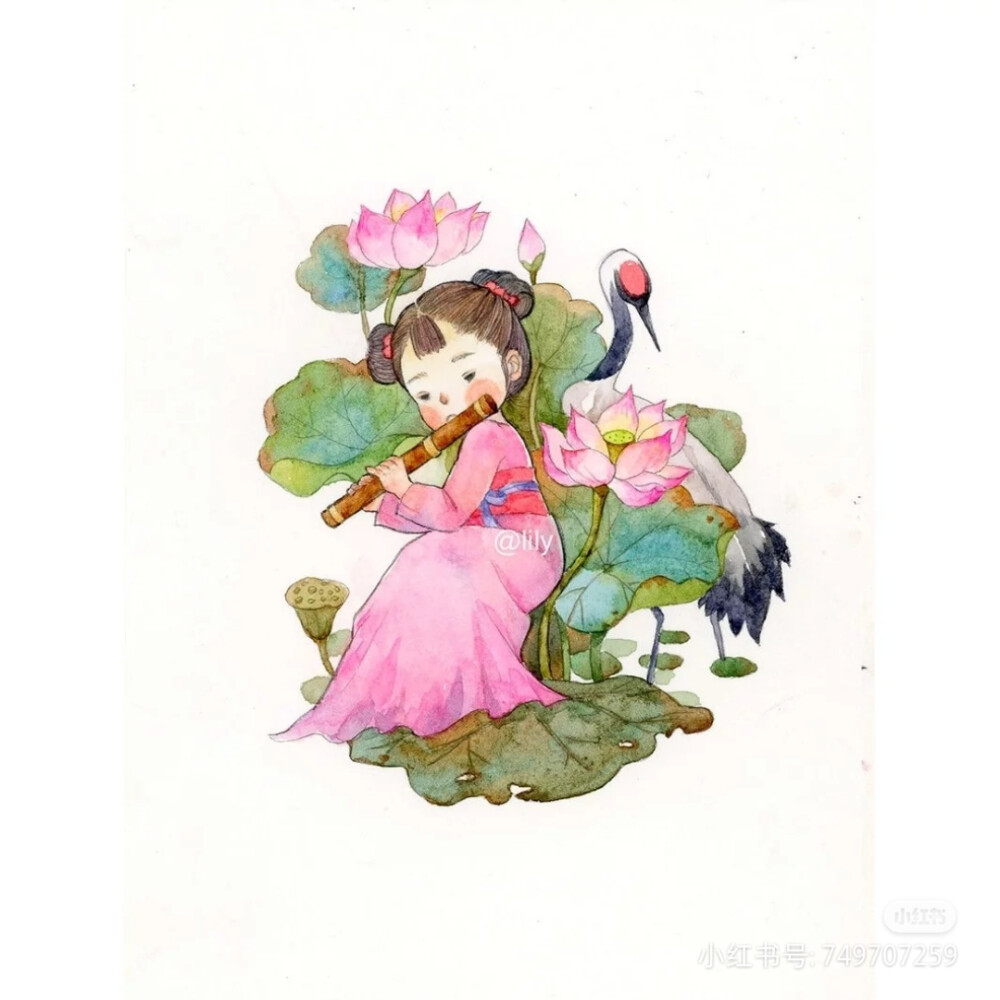 插画师lily