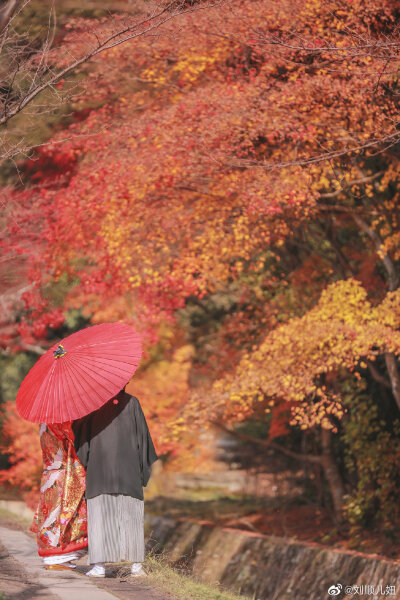 京都红叶季旅拍vol.17
「君不见，红叶又满川」
哲学之路的枫叶几乎是整个京都红的最晚的。
沿着溪流悠然漫步至此。
溪流右侧会在春天开满樱花，溪流左边则会在秋天迎来红叶。
偶尔会遇到穿着传统服饰的夫妇，桥上…