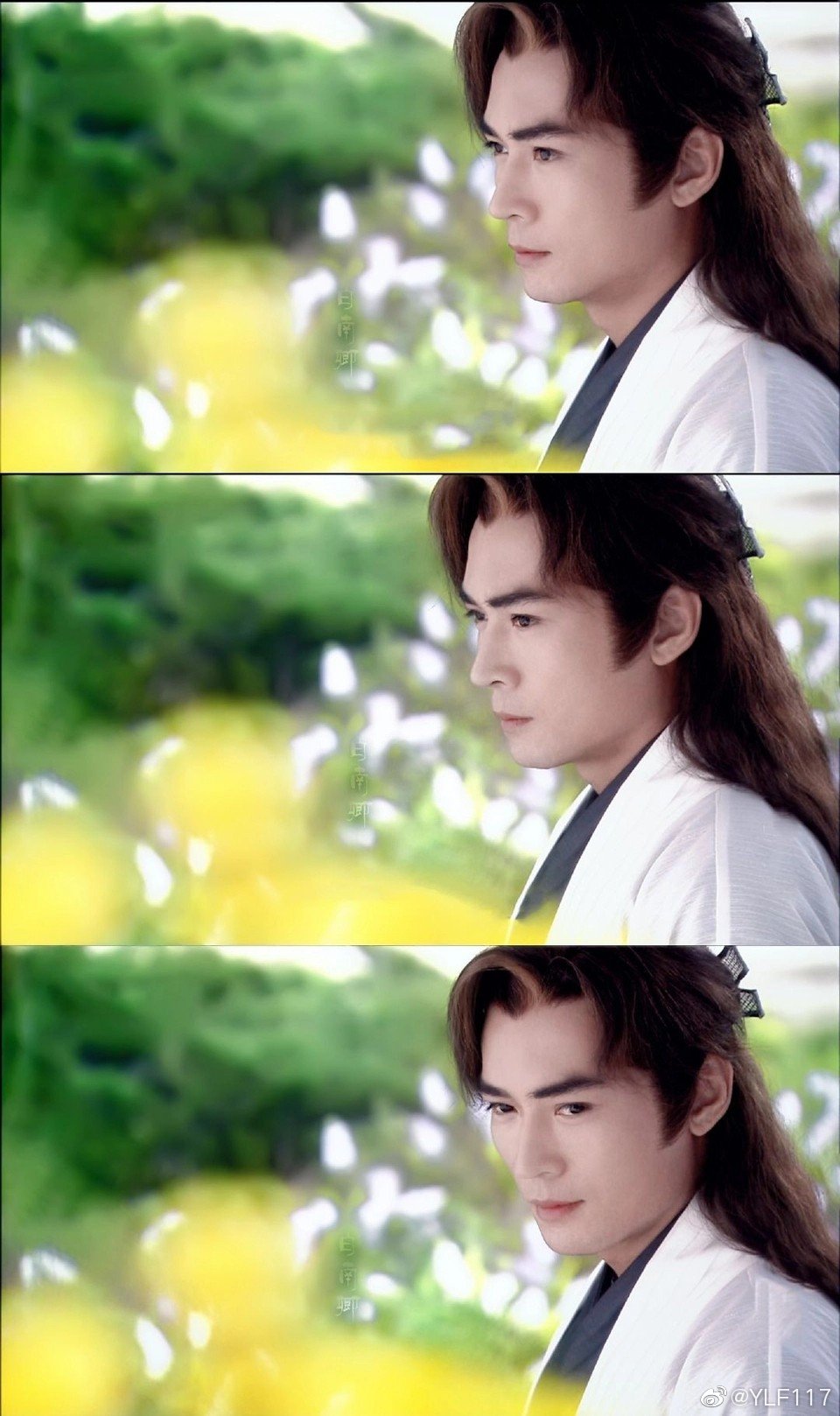 宝莲灯前传焦恩俊焦大美人美人焦美人