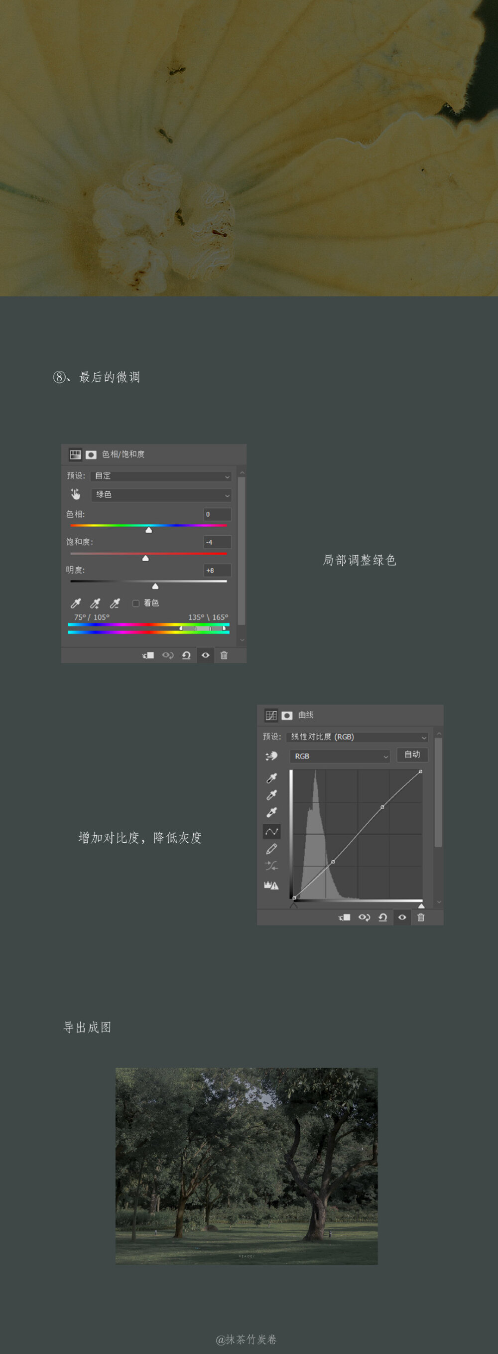 「绿色暗调摄影调色教程」
欢迎光临我的绿色森林。 ​
cr@抹茶竹炭卷