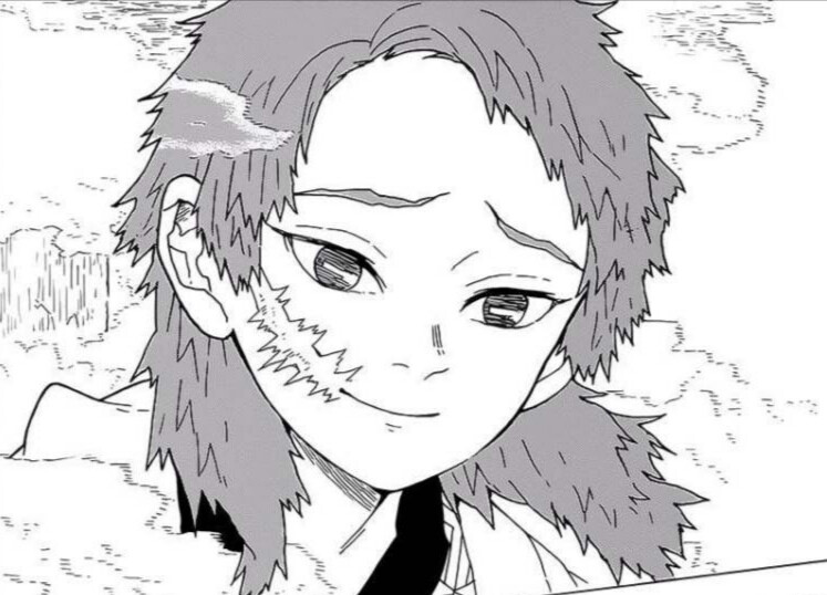 鬼灭之刃 富冈义勇 蝴蝶忍 炼狱杏寿郎 宇髄天元 甘露寺蜜璃 伊黑小芭内 不死川实弥 悲鸣屿行冥 时透无一郎 灶门炭治郎 灶门祢豆子 嘴平伊之助 我妻善逸 锖兔 真菰 珠世小姐 愈史郎 继国缘一 栗花落香奈乎