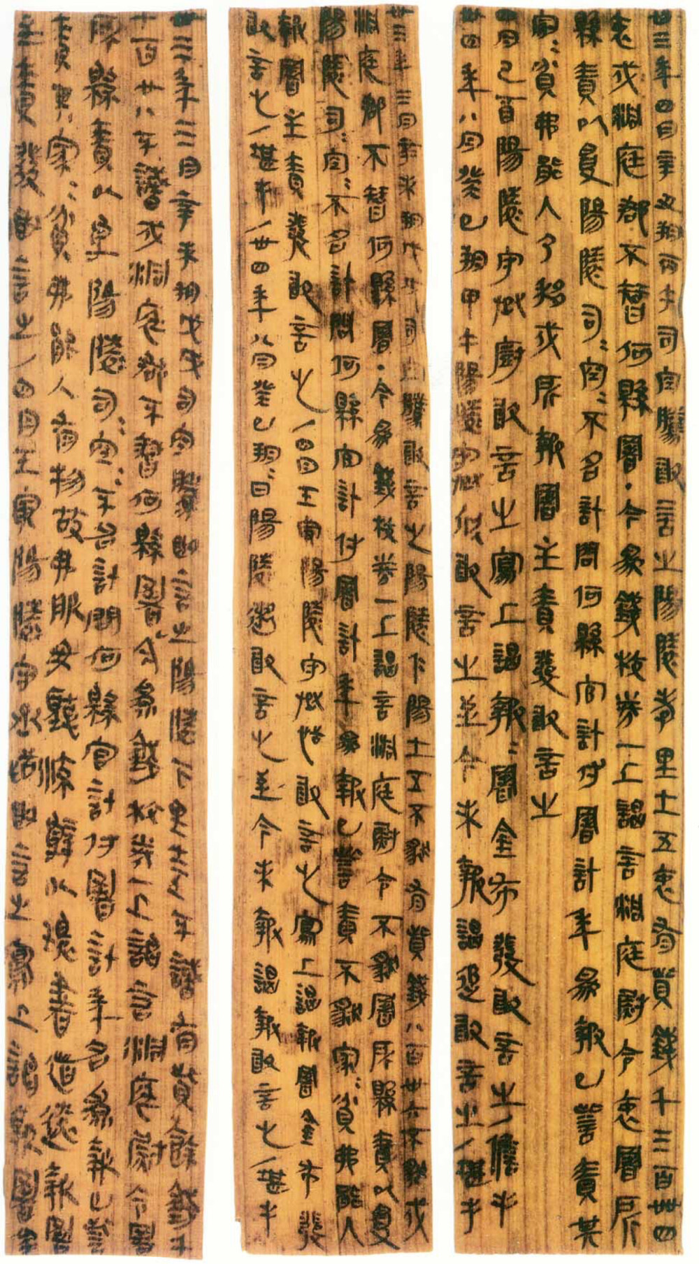 秦《里耶木简》湖南省里耶秦简博物馆藏