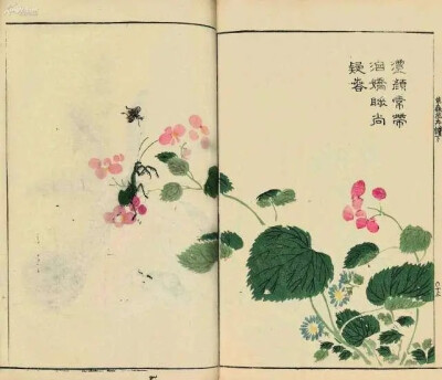 《芥子园画谱》