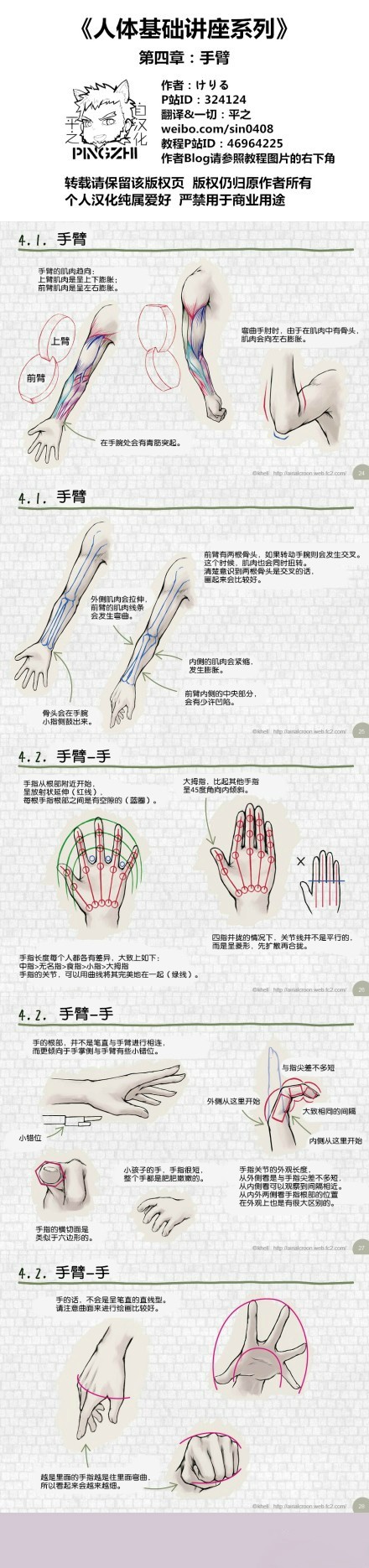 人体 手臂 教程