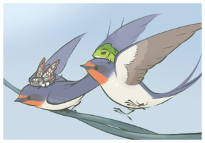 青蛙