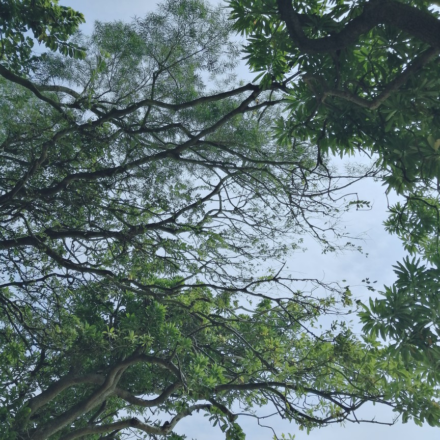 大嶼山，長沙灣