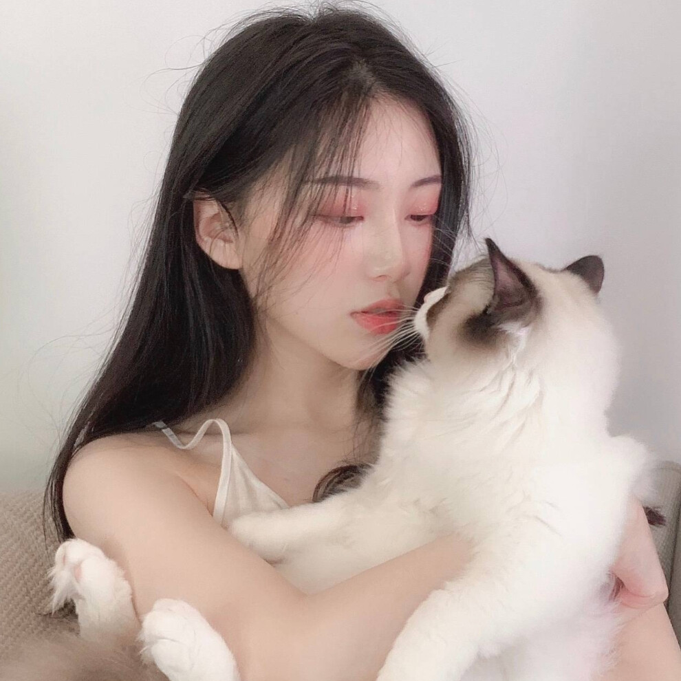 猫 女头 图源微博 id，飞天小敏警