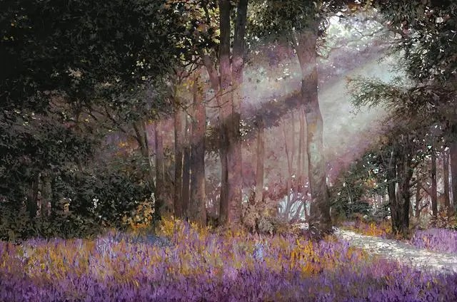 意大利艺术家 Guido Borelli 圭多博雷利 的精品油画