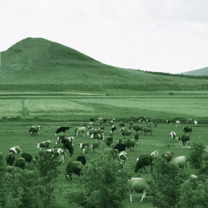 欧美 日系 头像 背景 风景_长安