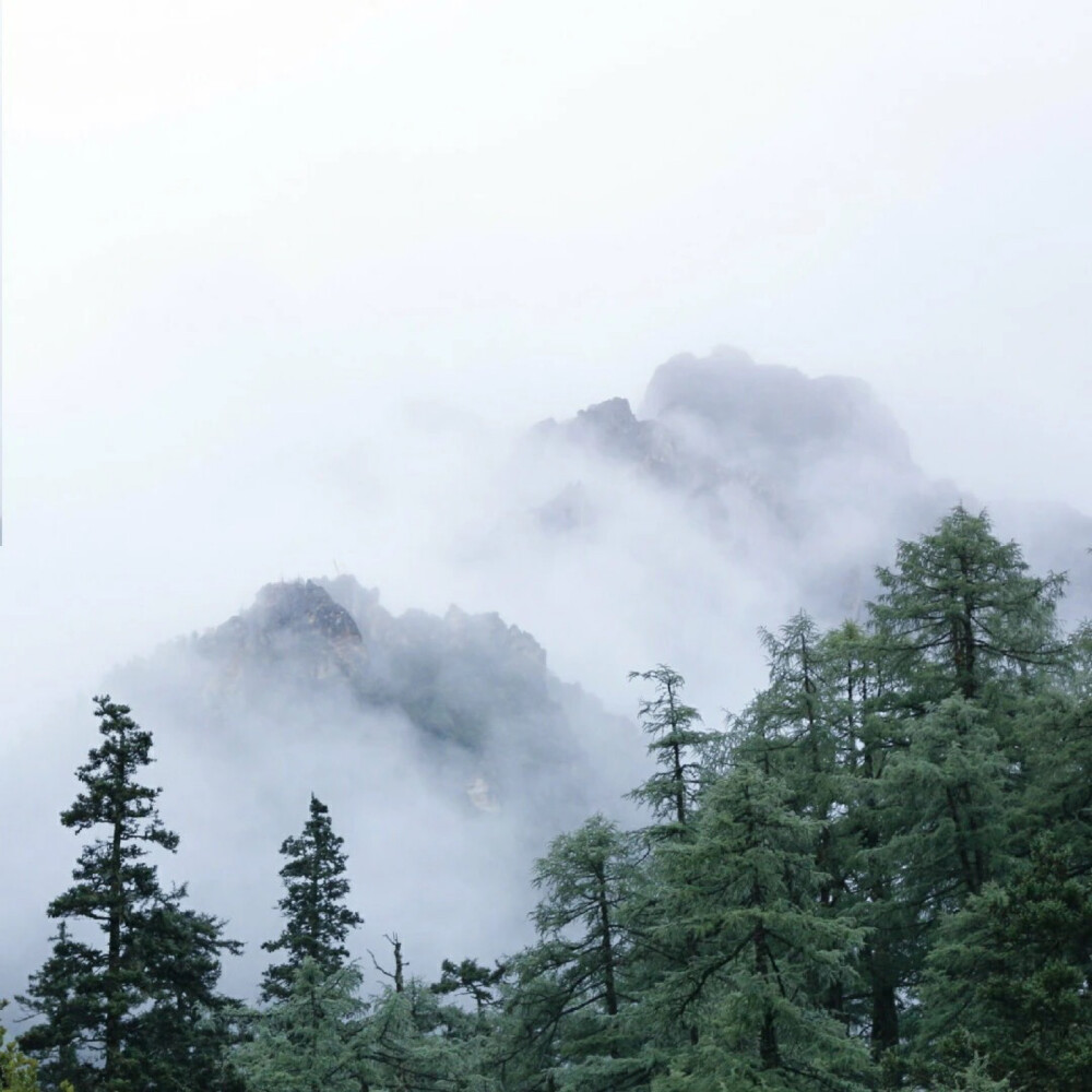 欧美 日系 头像 背景 风景_长安