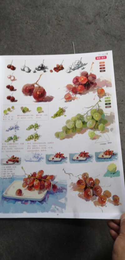 色彩静物