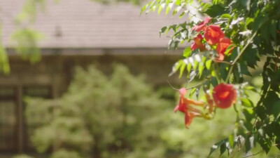 偶然发现的一天
©顾梓鹤