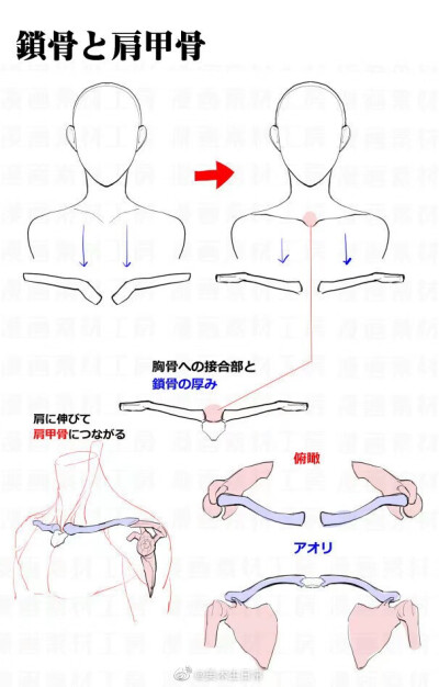 肩膀的注意事项