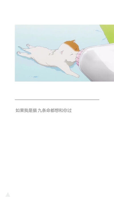 白边