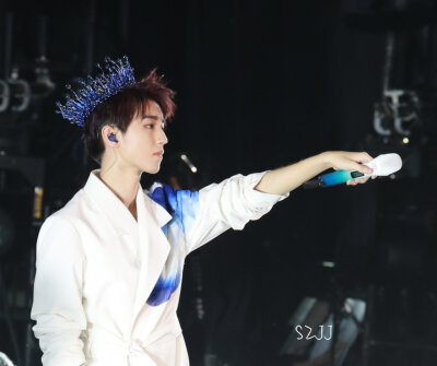 世界上最后一朵玫瑰