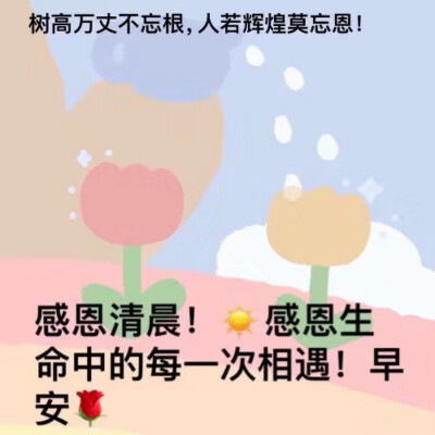 vb小熊代言人