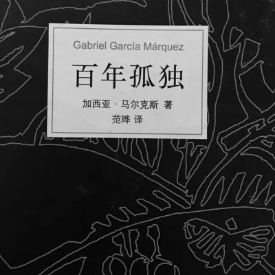 有趣的灵魂终会遇见