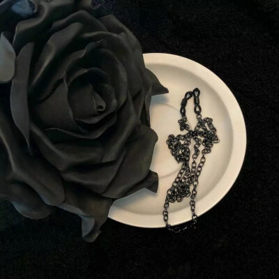 有趣的灵魂终会遇见