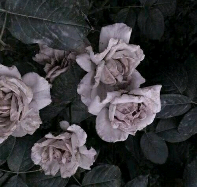 有趣的灵魂终会遇见