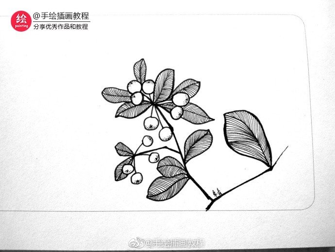 By 会画画的云 叶子
