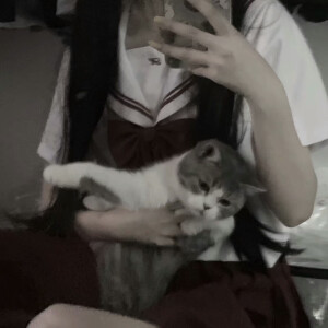 今天也是努力更图的安酱