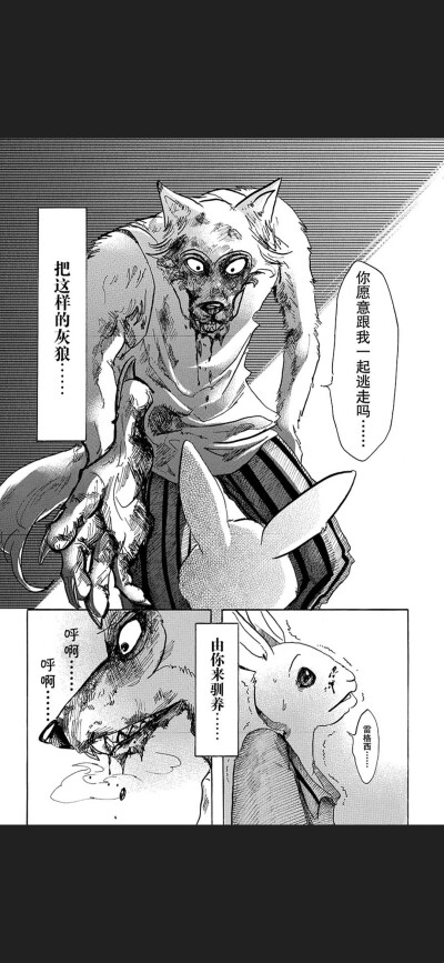Beastars⭐动物狂想曲 自截