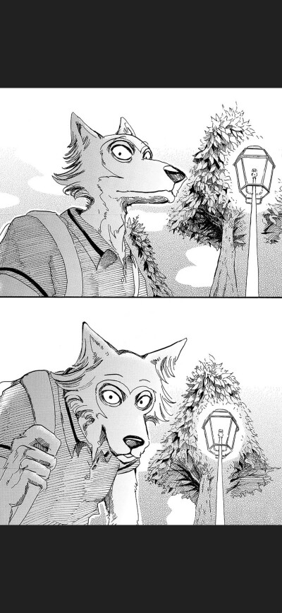 Beastars⭐动物狂想曲 自截