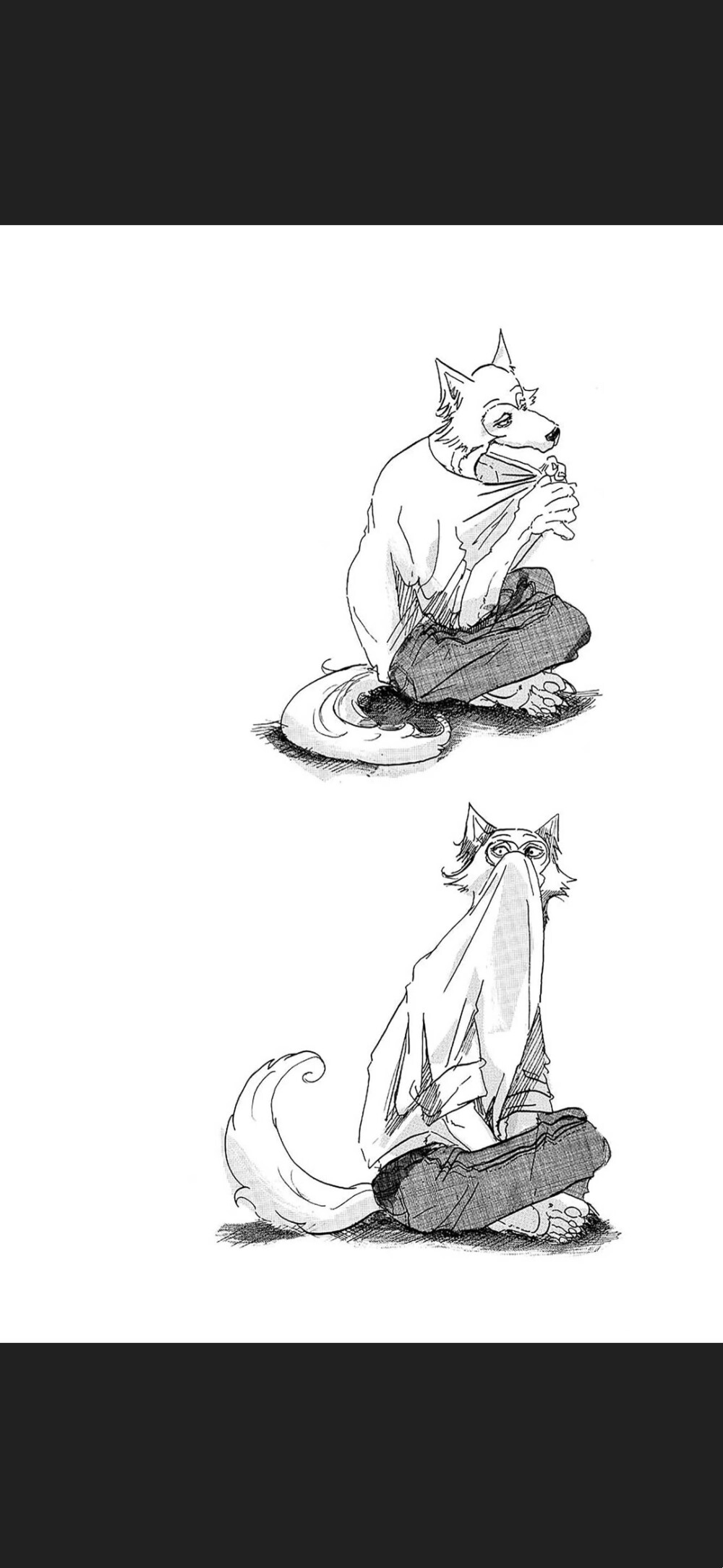 Beastars⭐动物狂想曲 自截