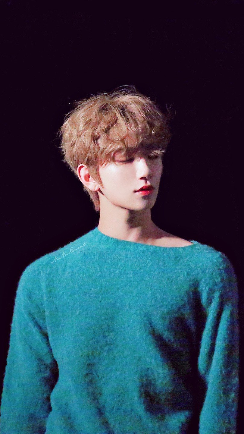 joshua洪知秀79seventeen