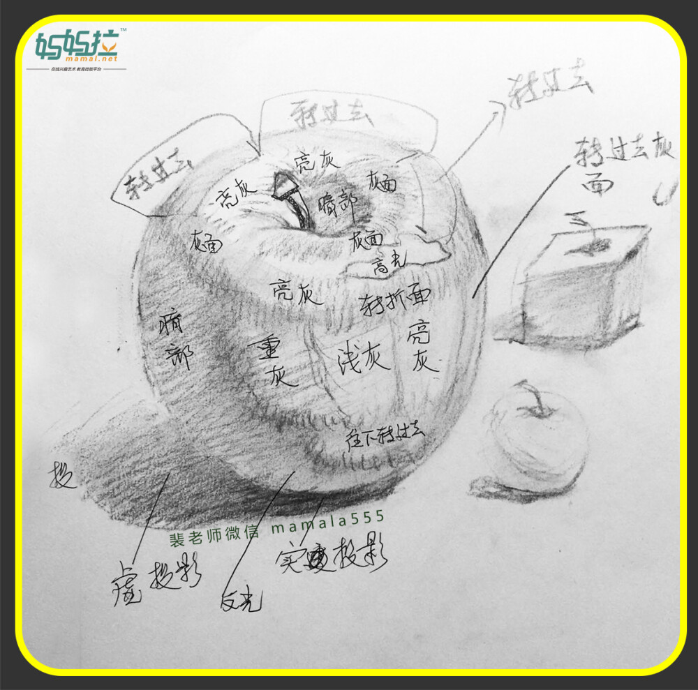 妈妈拉艺术学院由中央美术学院、清华美术学员双料状元裴俊飞老师创办，旨在打造一所没有围墙的艺术大学，发现真正的美、传播真正的美，让更多的人受益，让更多的人精神上的到充实。详情咨询裴俊飞老师微信mamala555 妈妈拉艺术学院-裴俊飞老师-正统彩铅苹果步骤图解