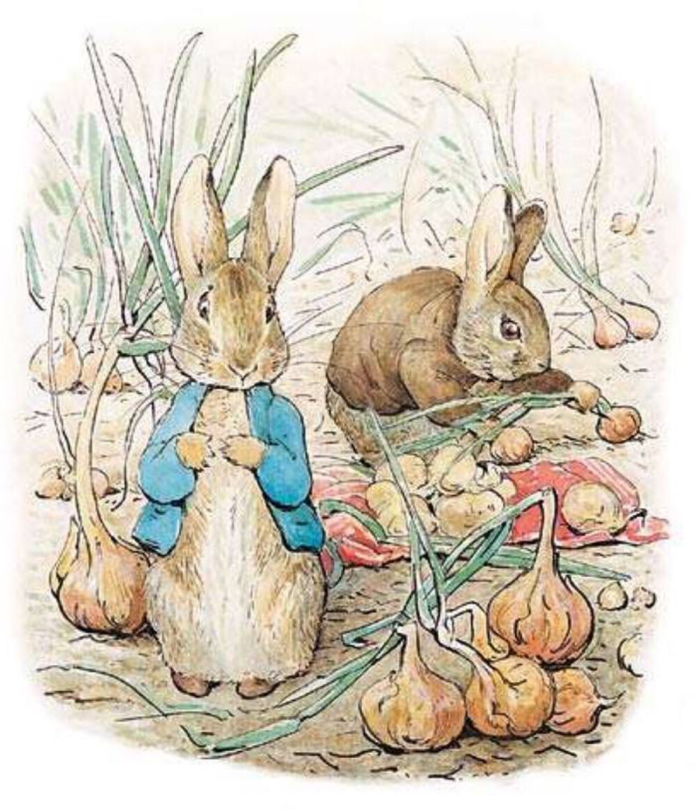 “Once upon a time, there were four little Rabbits, and their names were Flopsy, Mopsy, Cotton-tail and Peter.”
/彼得兔
by 英国 碧雅翠丝·波特小姐 ​​​