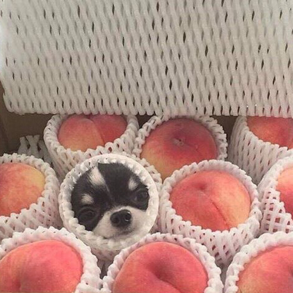 11.04 呐 病好了 要去上学了