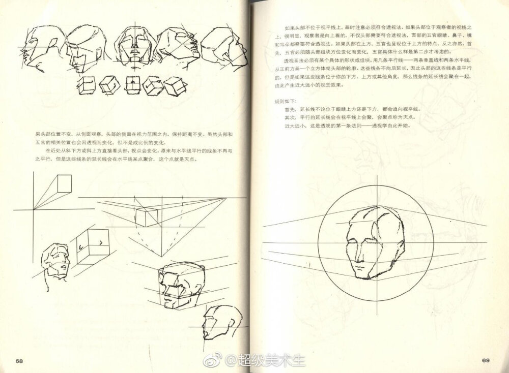 头骨结构