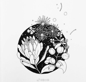 线描