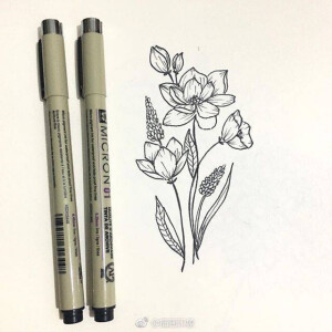黑白线描 花