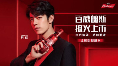 肖战×百威魄斯