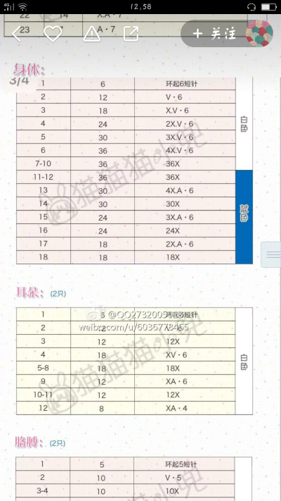 逗比兔