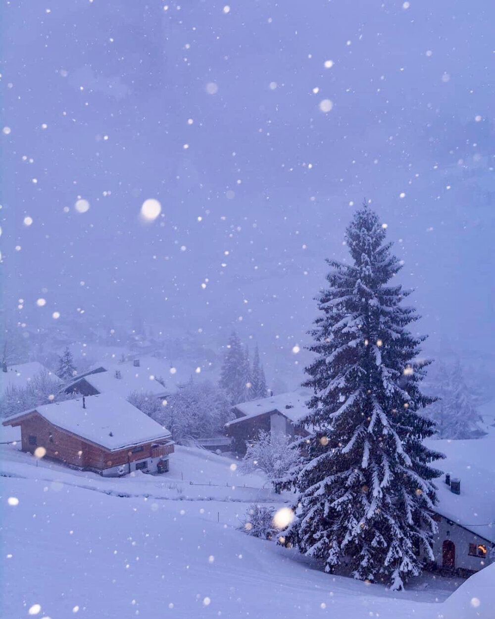 瑞士雪景*