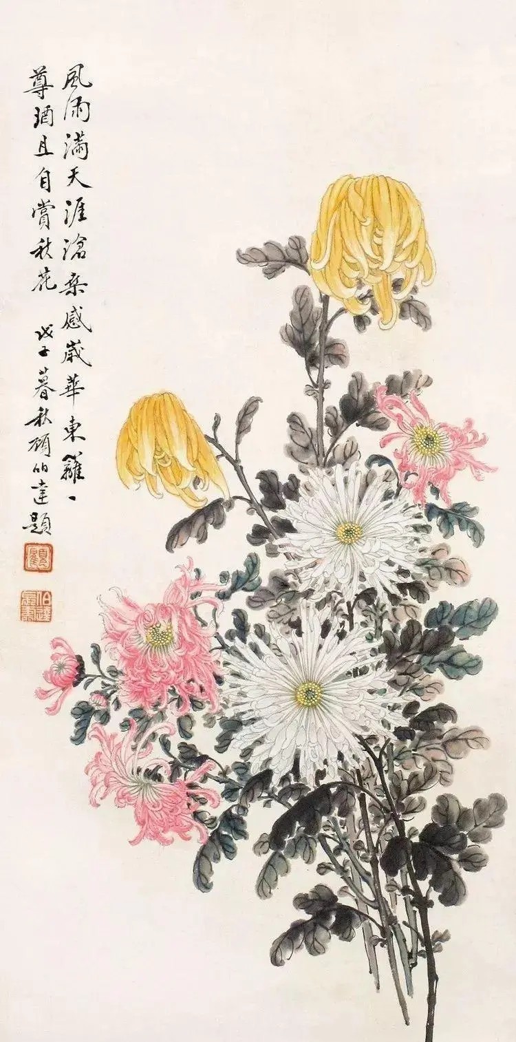 擅长画菊的殿堂级画家，与张大千平起平坐，号称“菊王”的顾伯达。