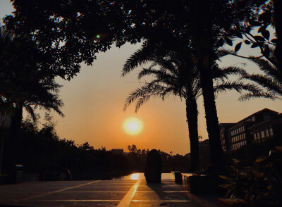 是好看的天空鸭～
分享一组自己拍的风景图(˶‾᷄ ⁻̫ ‾᷅˵)