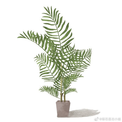 植物