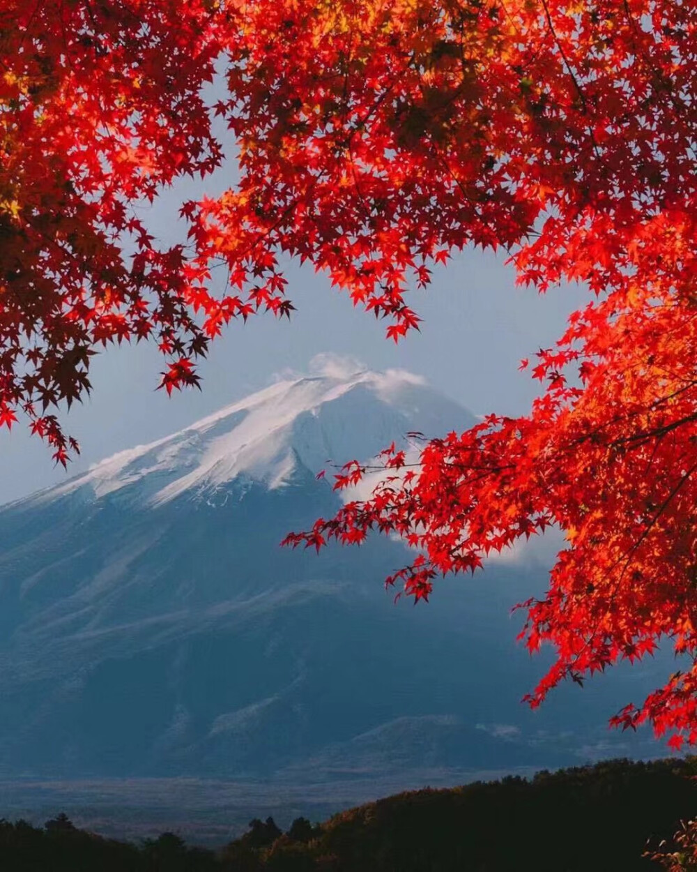 富士山