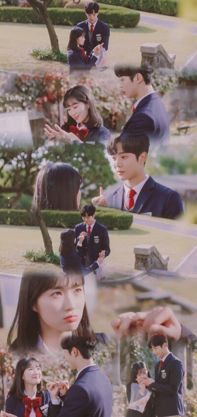 偶然发现的一天