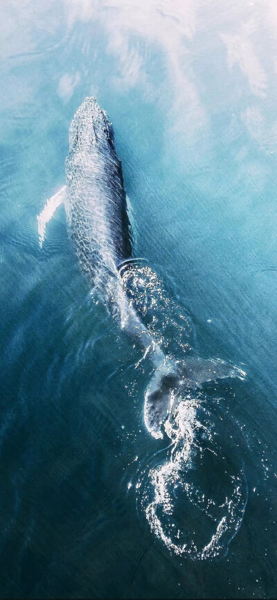 ☞精选潮图壁纸
一个姓氏，一句话，一张壁纸
图源|vx公众号：潮图欧巴