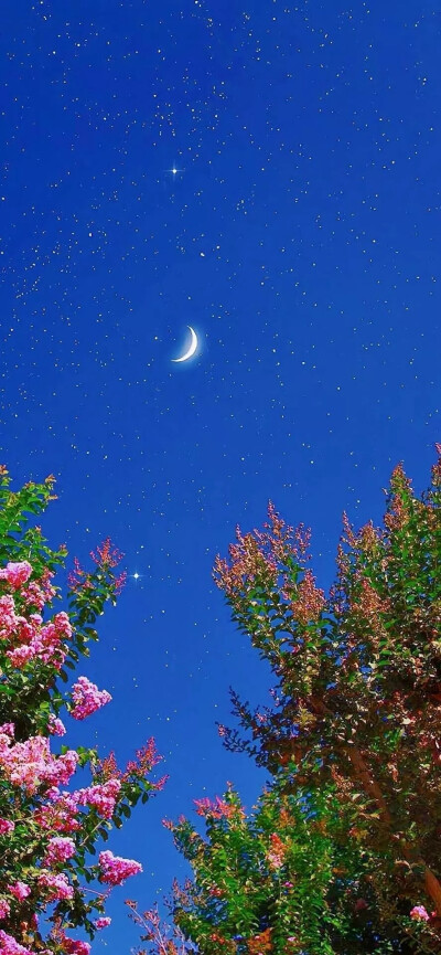 ☞精选潮图壁纸
一个姓氏，一句话，一张壁纸
图源|vx公众号：潮图欧巴