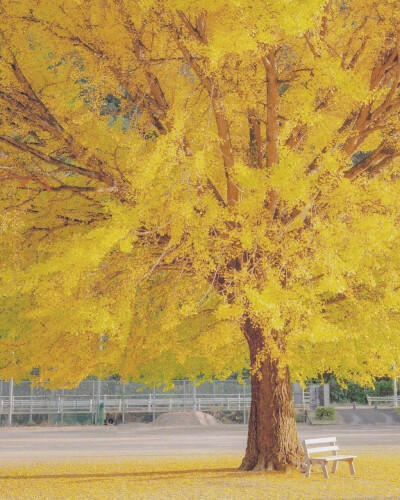 能把自己讨厌做的事情做好也是一件很厉害的事情