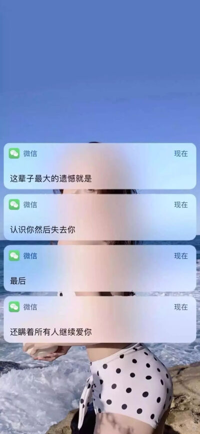 对话框壁纸
